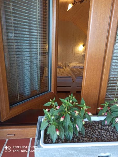 Sklípek u Svobodů Velke Bilovice Exterior foto